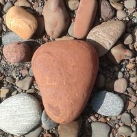 Jacqueline Niven (@gofragglego) 's Twitter Profile