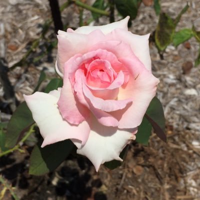 GSTorders's profile picture. hey