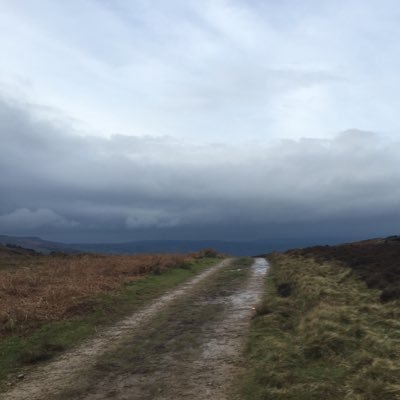 freelance_leeds's profile picture. developing the web.