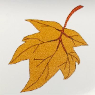 Falls Risk & Response Lead - Blackpool Victoria Hospital - Francesca Hall Bleep 640 falls symbol =falling leaf #falls #fallsprevention