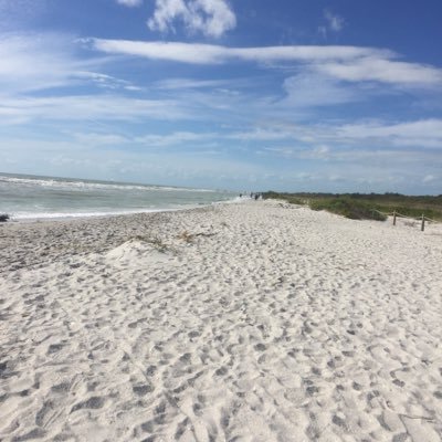 MonicaDurante5's profile picture. 