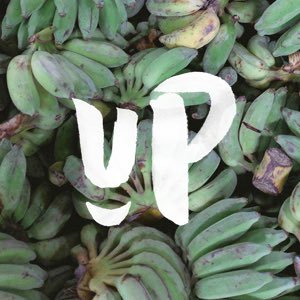 Relax. Grab a cocktail.
We've got your:
▪️Instagram
▪️Blogging
▪️Newsletters
allllll taken care of 🍹
Free guide to jolting your product sales on Instagram! ⤵️