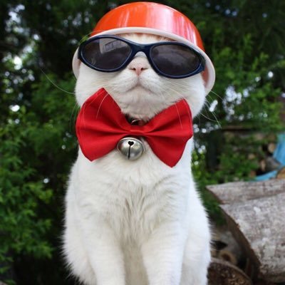 Firenze0409's profile picture. 深圳✈雷克雅未克/移民冰岛or爱尔兰ING/数码宅/🍎粉