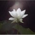 © Danny Ocean (@paw_space) Twitter profile photo © Danny Ocean (@paw_space) Twitter profile photo