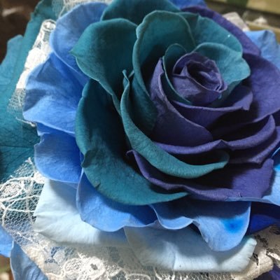 BlueRose_M Profile Picture