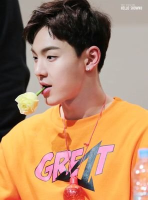 monbebeShownu Profile Picture