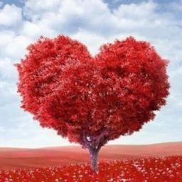 mei_kaku_genKi0's profile picture. 気まぐれで名言や格言をつぶやいています。言の葉が必要な人の元へ届きますように。。