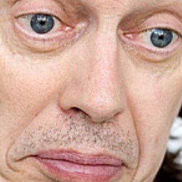DM ME IDEAS AND I WILL STEVE BUSCEMIFY THEM                                                                                (all buscemi pictures are made by me)