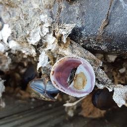 widthmedia's profile picture. 