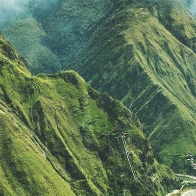 wangyuch2012's profile picture. 