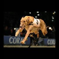 Gavin O'Mahoney (@gavinom76) 's Twitter Profile Photo Gavin O'Mahoney (@gavinom76) 's Twitter Profile Photo