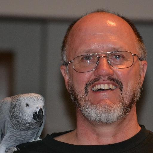 driep01's profile picture. I am an African. Will be politically incorrect for sanenist sake.