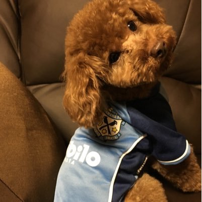 3ek's profile picture. 愛犬の名前はジェイ💕 無言フォローお許しください🙇⭐︎投資には興味無いのでフォローされてもブロックします。