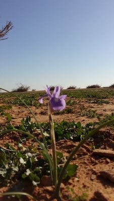 لآتترَك أيَ شيَء فيَ قلبك ضد أحد ،سآمحَ ،وأغفرَ ،وتجاهَل وأحسنَ آلظنَ فآلحيآة لحظآتَ تستحقَ أن تعَيشهآ برآحَة ثمَ ترحَل ...
