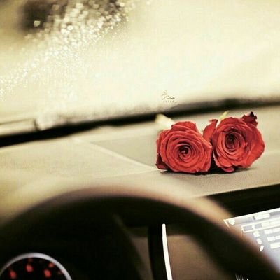 mmwsy5177's profile picture. 