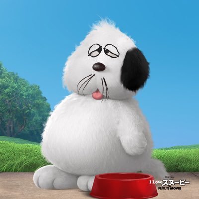 totohchan's profile picture. 太った40代男性・会社員です