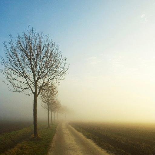 yeterbe's profile picture. 