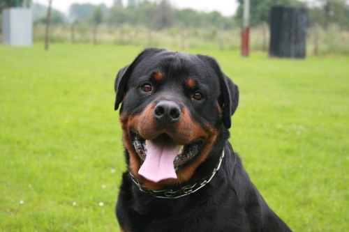 marleenmullende's profile picture. 