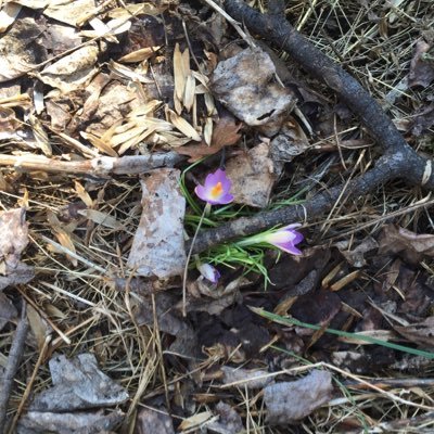 blythe_shirk's profile picture. 