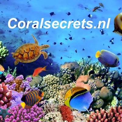 Sale of marine aquarium products