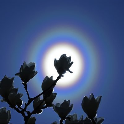 試練は天からのご褒美！ピンチはチャンス♪ 空の不思議が好き🌈☀️☁️ ハロ 虹 朝焼け 夕焼け   基本ケセラセラ〜 笑って過ごそう♪