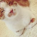 yumi (@002yumi008) Twitter