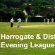 H&DAE Cricket League Profile