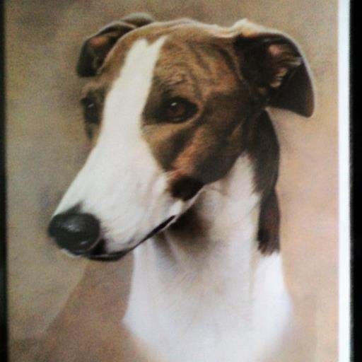 WilliamPDaly's profile picture. 