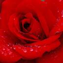 Ipshita Ray - @ipshita_cool - Twitter