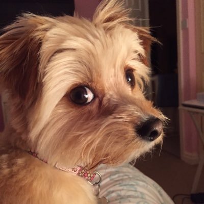 anderton672's profile picture. 