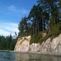 NaomiforDocs (@tv_docs) 's Twitter Profile