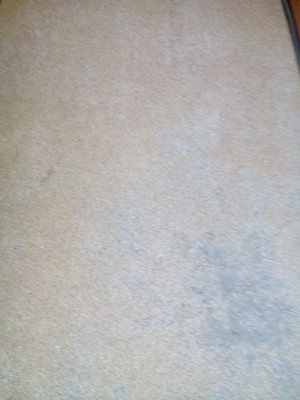 BotappHighwest's profile picture. エロエロアザラク