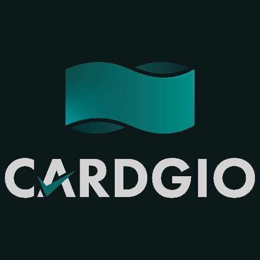 CardGioInc's profile picture. Well Casing Integrity Software and Data Analysis Services