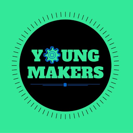 Young Makers was a social innovation program introducing 3D printing to youth.