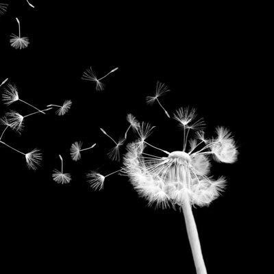 Lahcen_i's profile picture. 