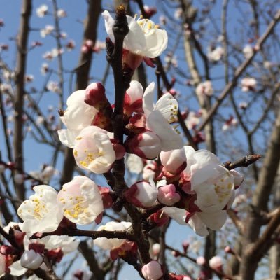 3kakinotane776's profile picture. 