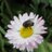 Joannie96's profile image
