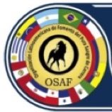 osafweb's profile picture. Siga la cuenta OFICIAL @osafweboficial.