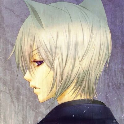 Ex-Leader of Team MTHS (Mythos) and secret Cat-Faunus. Weapon: Hopeful Lament. (Transforming Suitcase much like Pandora from DMC4) Semblance: Aura Armor