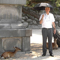 feinewerkzeuge's profile picture. Leise Werkzeuge der gehobenen Art ...
http://t.co/mV8h5Tm1j6