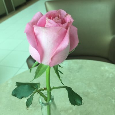 مشااااءالله تبارك الرحمن