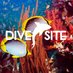 DiveSiteAdventures (@DiveSite_) Twitter profile photo
