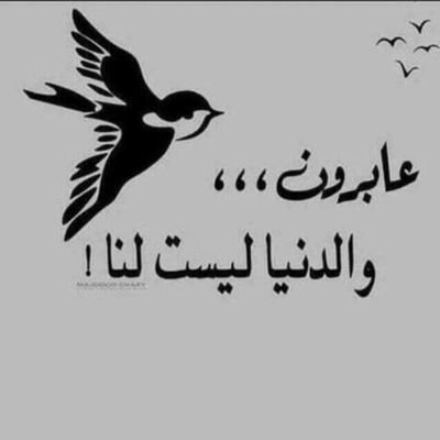 رضا الله غايتي وتربية ابنائي تربيه صالحه هدفي