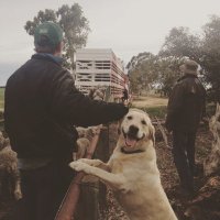 James Dempster (@picadilly5) 's Twitter Profile