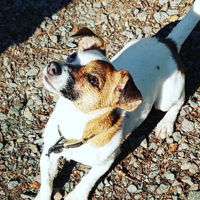 holmesrnaomi's profile picture. 