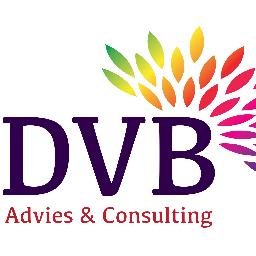 DVB_Advies's profile picture. 