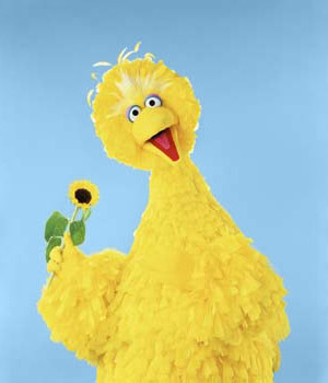 awkwarsh's profile picture. This is awkward.