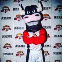 Paco el UniversiToro (@universitoro) 's Twitter Profile Photo Paco el UniversiToro (@universitoro) 's Twitter Profile Photo