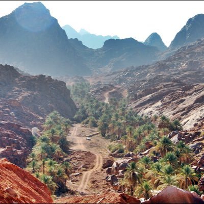 حصري قبيله الاسلم وحصري بدعم كل طيب اسلمي وعنصري اسلمي شمري من الوريد للوريد ولا احب المتلونين والمنافقين واهل الوجهين الاسلم في دمي بالجزيره ونجد