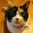 nekokoclub's profile image